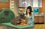 The Sims 4. Świetny dodatek dostępny zupełnie za DARMO! Wielka grata dla fianów zwierzaków