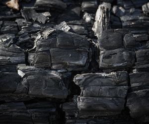 Kalisz. Wniosą węgiel seniorom. Rusza kolejna edycja programu 