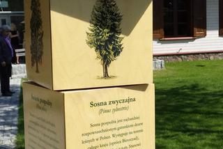 Centrum Edukacji Przyrodniczo-Leśnej