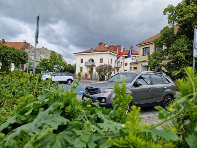 Sielanka, czyli zielona perła Bydgoszczy, o której mało kto pamięta!