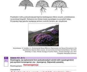 Matura 2025 biologia rozszerzona: ODPOWIEDZI do wszystkich zadań, gotowe rozwiązania matury z biologii rozszerzonej [9.05.2025]	