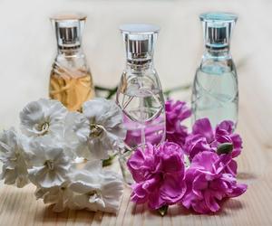 Idealne perfumy dopierane do daty urodzin. Sprawdź, jakie pasują do znaku zodiaku