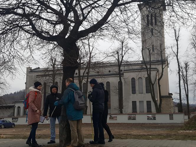 Chcą uratować drzewa na Zabłociu