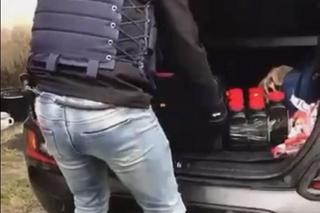 Kłusownicy polowali na jelenie pod Rawą Mazowiecką