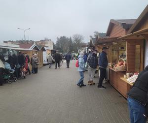 Ceny karpia w Olsztynie. Karp towarem luksusowym w Olsztynie? W wielu sklepach tej ryby nie dostaniesz