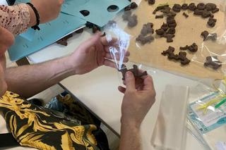 Psie kupy w woreczkach z ciastkami. Trafiły do właścicieli czworonogów 