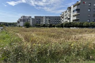 To najsłynniejsze pole w Lublinie