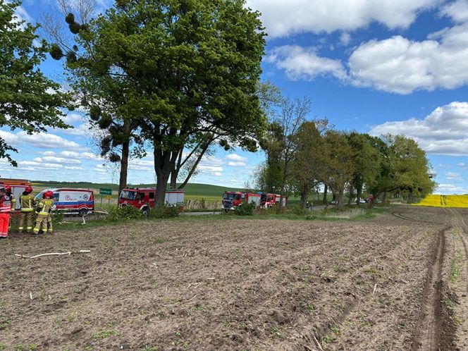 Śmiertelny wypadek pod Olsztynem. 39-latek zignorował znak "stop"? [ZDJĘCIA].