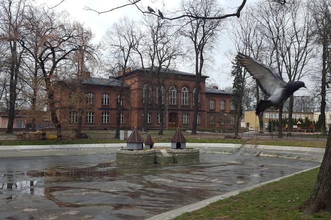 W parku na Pl. Kościuszki przygotowania do nowego sezonu