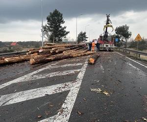 Groźny wypadek na DK 11 niedaleko Środy Wielkopolskiej. Drewno wypadło na jezdnię i zmiażdżyło auta [ZDJĘCIA]