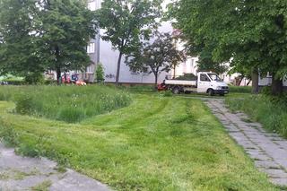 Starachowiczanka w akcji