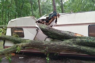 O krok od tragedii nad lubuskim jeziorem. Drzewo spadło na przyczepę campingową. Cud!
