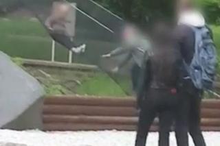 Szokujące sceny w zoo! Dziecko zjeżdżało po wybiegu, rodzice na wszystko patrzyli