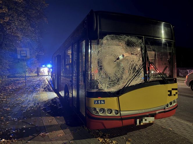 Wiązowna. Zderzenie autobusu z sarną 