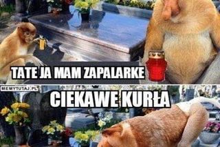 Memy na Wszystkich Świętych