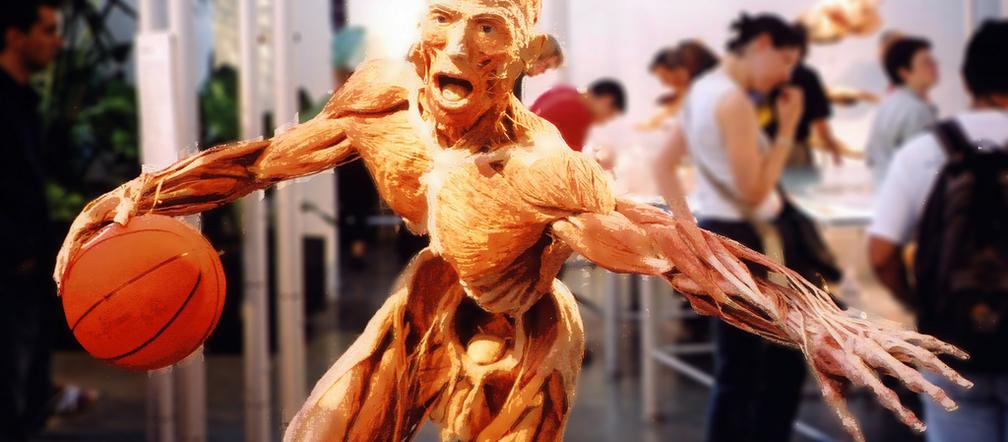 BODY WORLDS w Katowicach