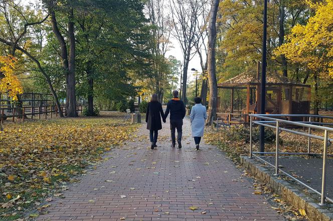 Park 1000-lecia w Lesznie na chwilę przed zachodem słońca