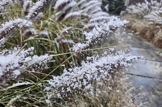 Pierwszy śnieg na Podkarpaciu