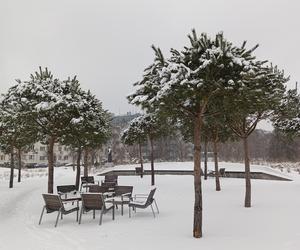 Śnieg na Pomorzu. Zima w obiektywach naszych Czytelników