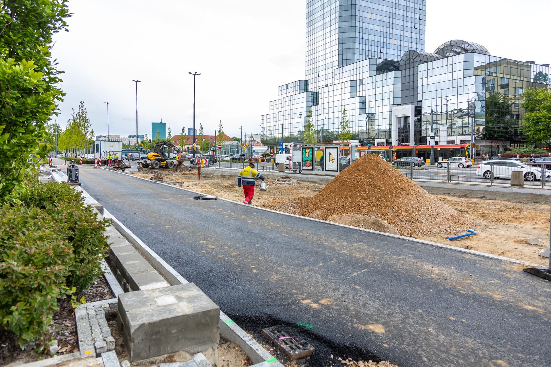 Sadzenie zieleni na placu Bankowym w maju 2025 r.
