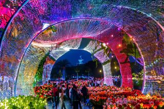 W ten weekend poznański stadion wypełni się rzeźbami z żywych kwiatów. O jakim wydarzeniu mowa?