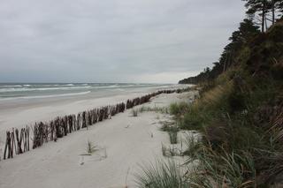Tu stanie pierwsza w Polsce elektrownia jądrowa. Byliśmy na plaży 