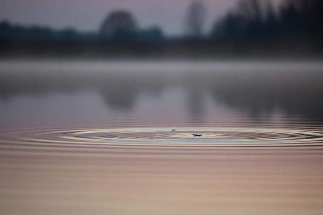 Skoda w stawie w Borkach Wielkich. Co uratowało kierowcę z tonącego pojazdu?