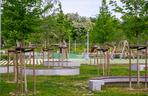 Cogiteon w Krakowie. Park i ogród na dachu