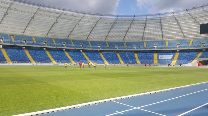 Do piątku potrwa wymiana murawy na Stadionie Śląskim