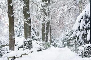 My się śniegu nie boimy!. Zima zawitała do krakowskiego ZOO