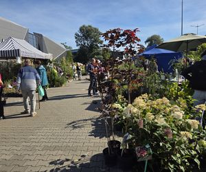 Jesienny Kiermasz Ogrodniczy w Bydgoszczy przyciągnął miłośników zieleni i smakołyków!