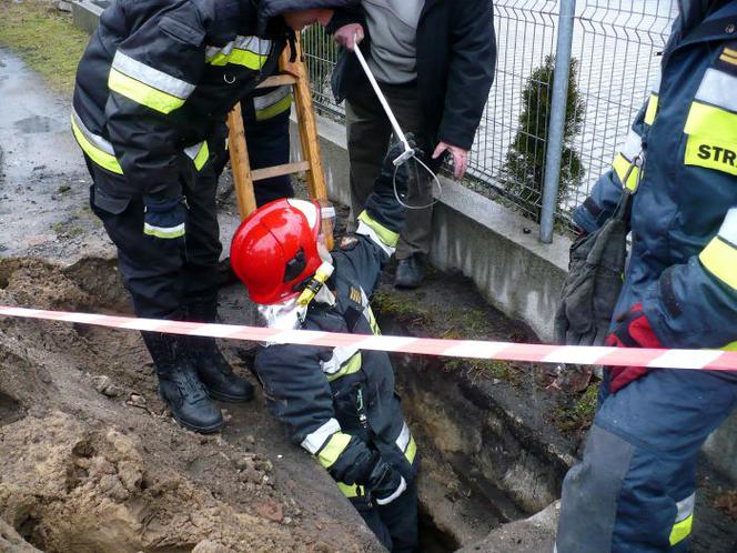 Zastęp strażaków na ratunek suni