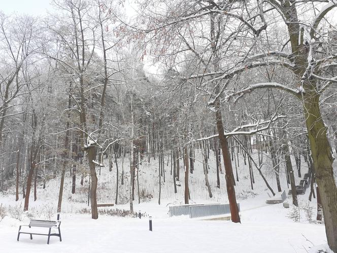 Starachowice w zimowej szacie