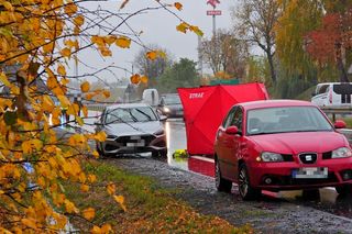 Zwłoki na drodze w Tarczynie. Policja szuka świadków