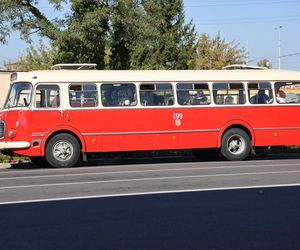 Animacje, najdłuższy autobus w kraju i inne atrakcje. Tak wyglądał Dzień bez Samochodu w Lublinie