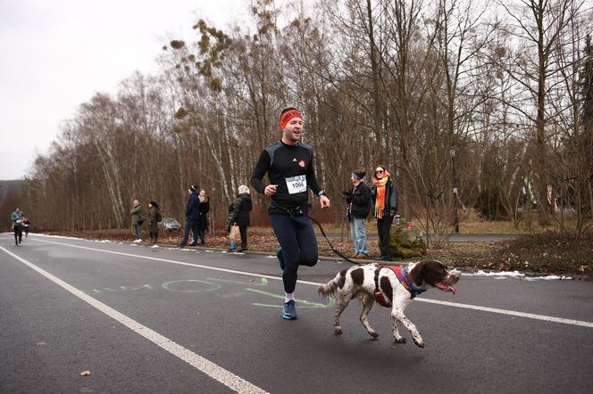 Bieg z Sercem WOŚP w Parku Śląskim. Po raz dziesiąty pobiegli w szczytnym celu