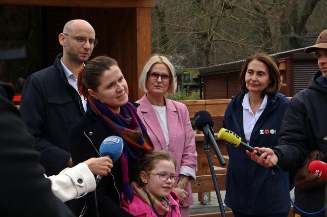 Lemury zamieszkały w gdańskim zoo