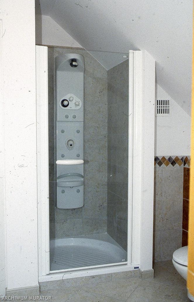 Panele prysznicowe w łazienkach