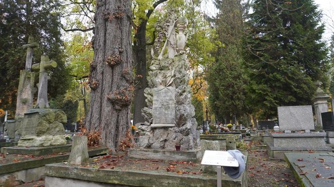 Moritz, Vetter, Plage i Laśkiewicz. Tak wyglądają groby znanych osób na najstarszym cmentarzu w Lublinie. Zdjęcia