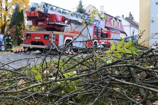 Armagedon pogodowy. Śląscy strażacy interweniowali 115 razy