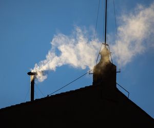  Leon XIV jako dziecko usłyszał, że będzie papieżem! Niezwykła przepowiednia