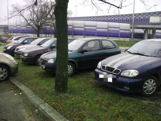 Samochody parkujące na trawnikach w Warszawie [ZDJĘCIA]