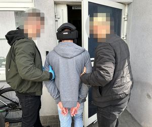 Podpalenia aut w Bydgoszczy. 33-latek aresztowany na trzy miesiące