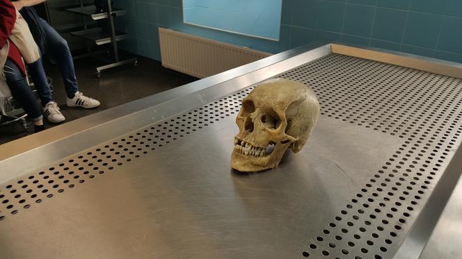 Drzwi Otwarte w Collegium Medicum UMK