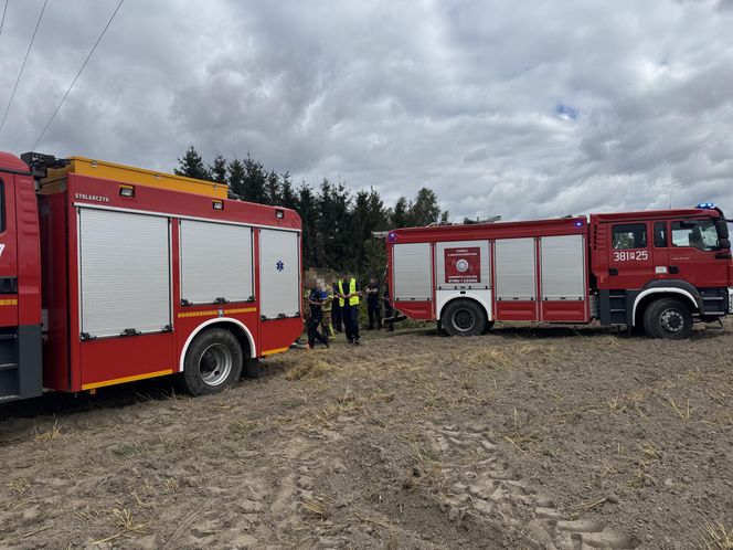 Wypadek awionetki w Krzycku Wielkim