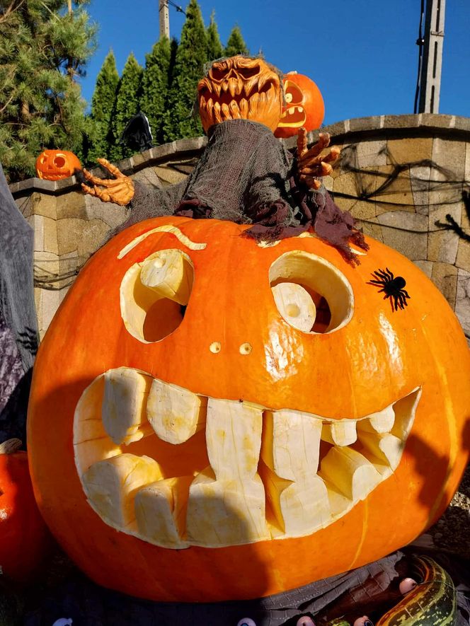 U Łukasza z Pawłowa hasło "cukierek albo psikus" nabiera innego wymiaru. Najbardziej halloweenowy dom świętokrzyskiego