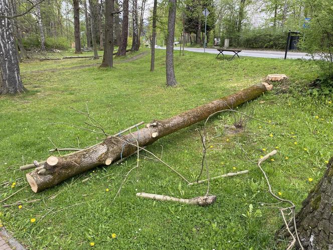 Miesiąc po wichurze, odwiedziliśmy miejsce tragedii w Rabce-Zdroju. Oto, co zobaczyliśmy