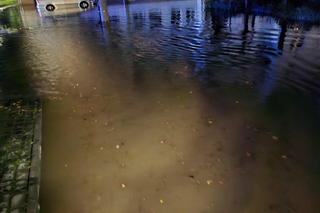 Powódź w Lewinie Brzeskim. Wylała Nysa Kłodzka