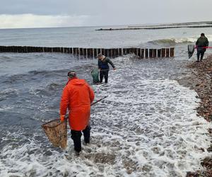 Tłumy na plaży w Kołobrzegu