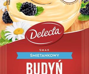 Delecta. Produkty, którym ufają Polacy